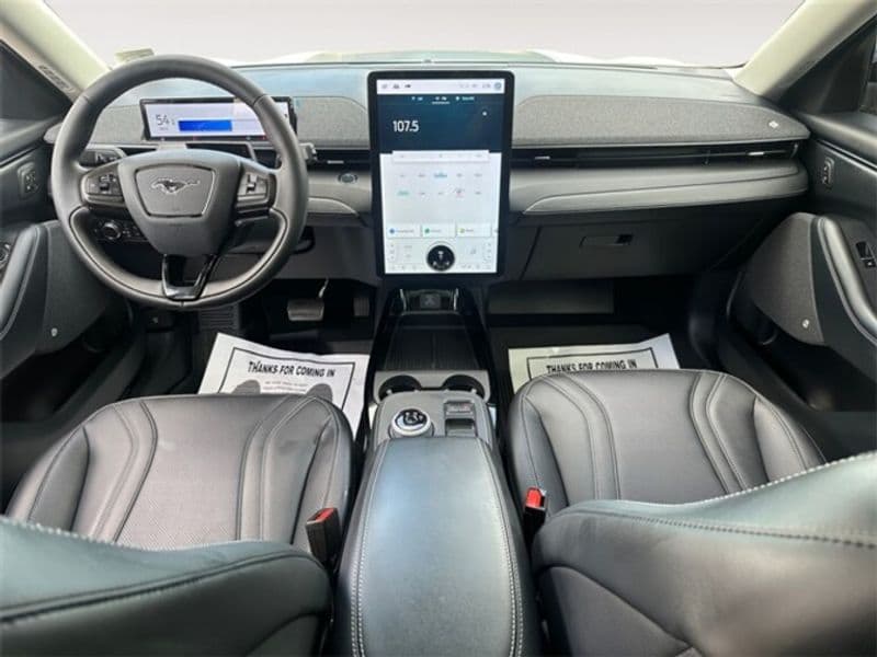 2021 Ford Mustang Mach-E view 13