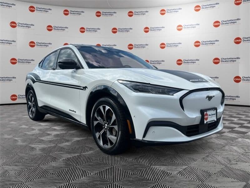 2021 Ford Mustang Mach-E view 14