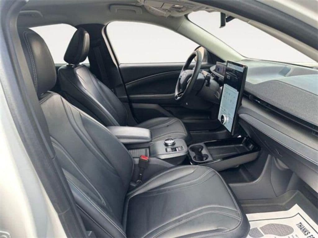 2021 Ford Mustang Mach-E view 24