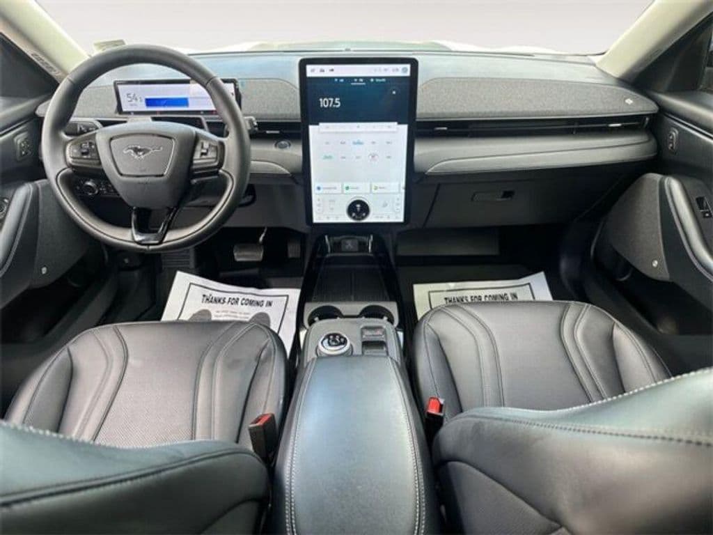 2021 Ford Mustang Mach-E view 13