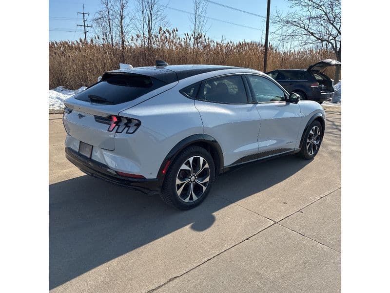 2021 Ford Mustang Mach-E view 3