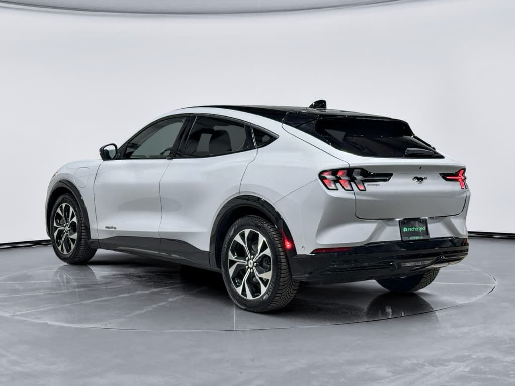 2021 Ford Mustang Mach-E view 2