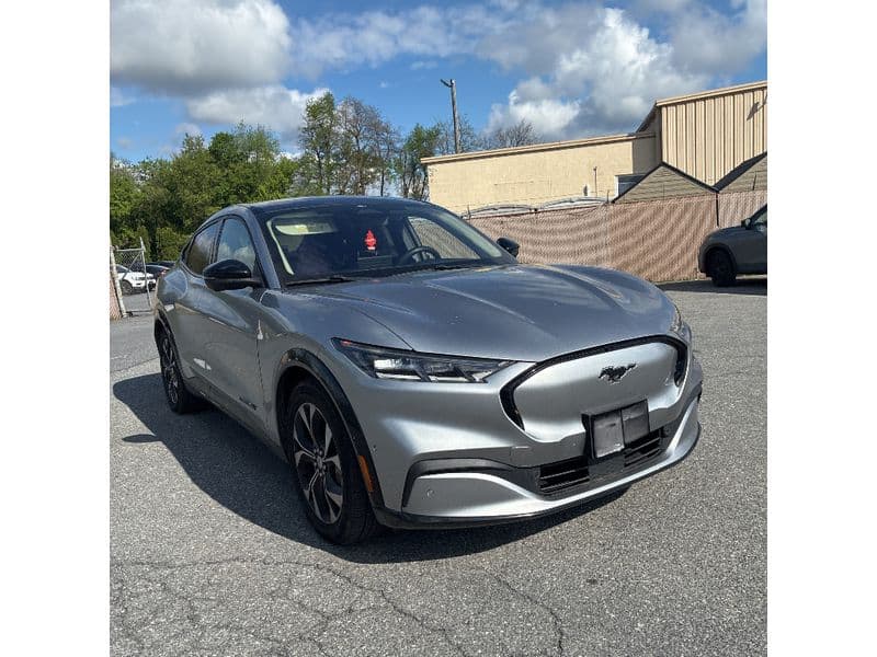 2021 Ford Mustang Mach-E view 2