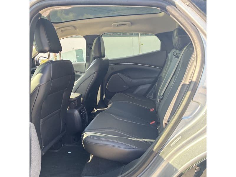 2021 Ford Mustang Mach-E view 6