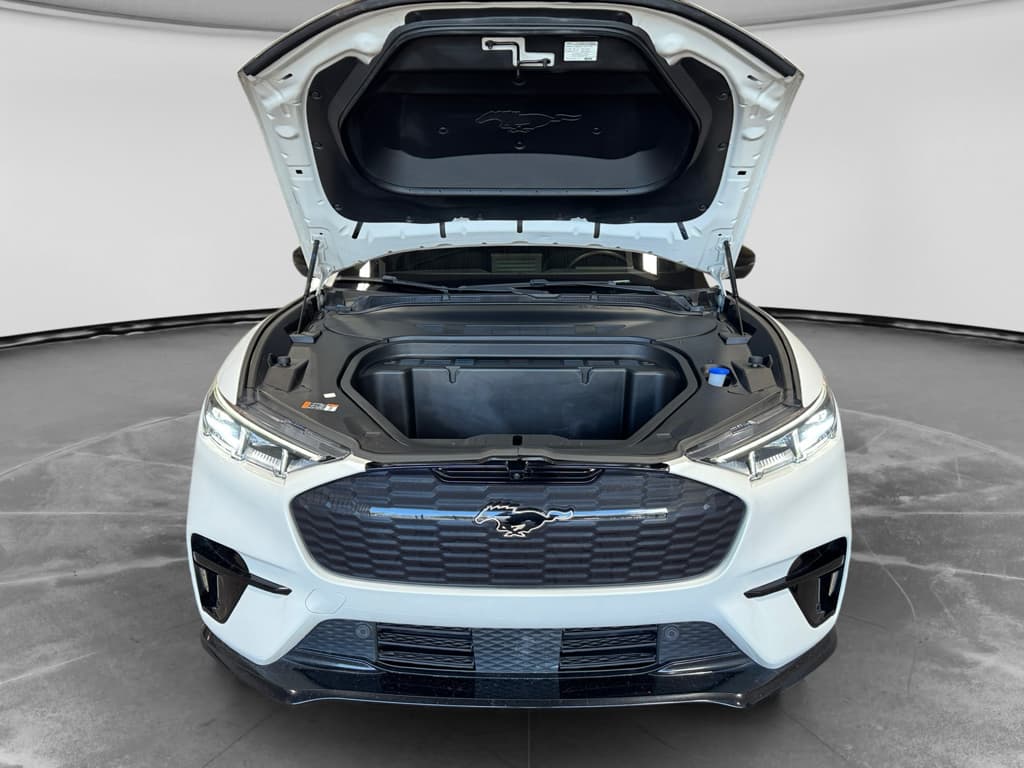 2023 Ford Mustang Mach-E view 26