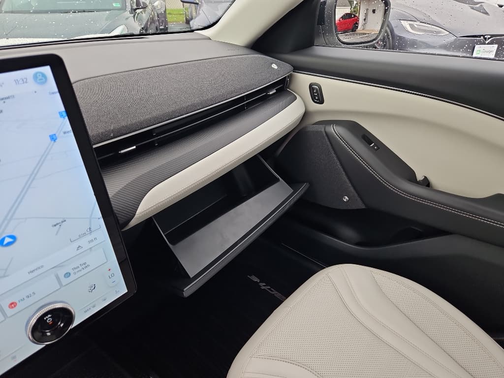 2021 Ford Mustang Mach-E view 18