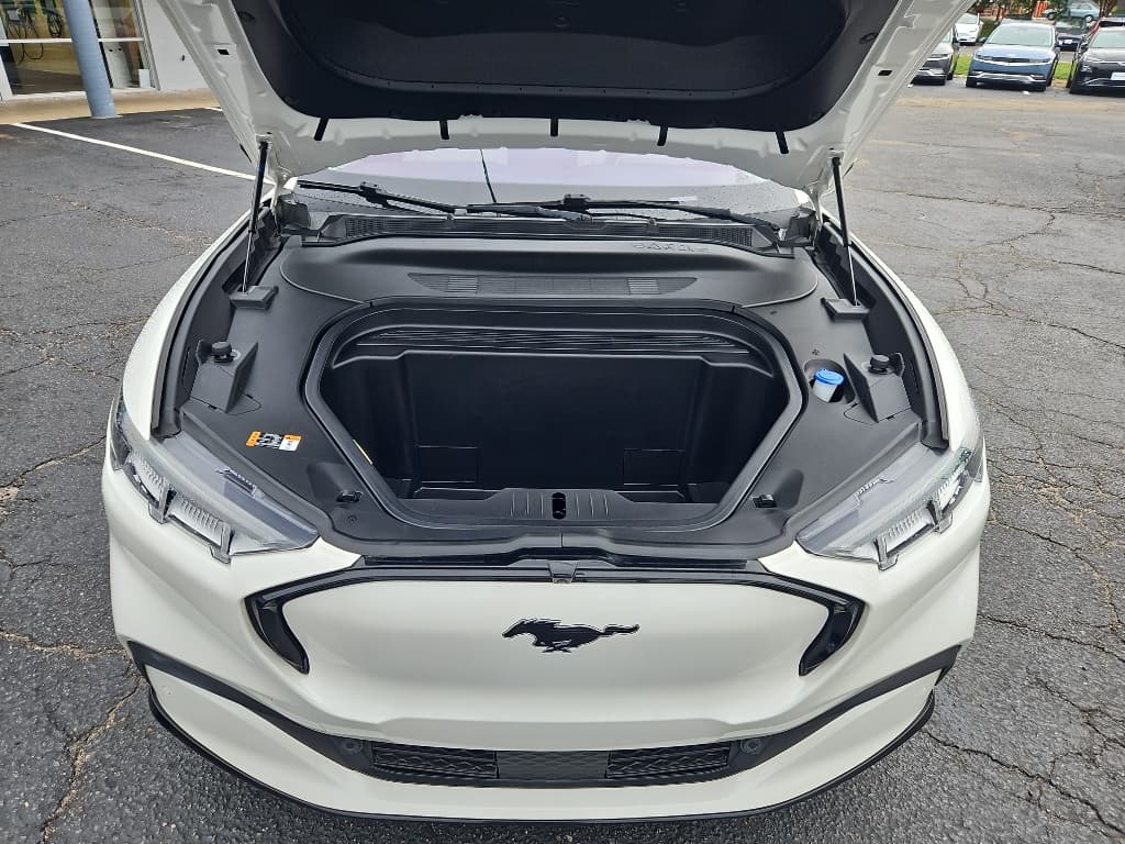 2021 Ford Mustang Mach-E view 23