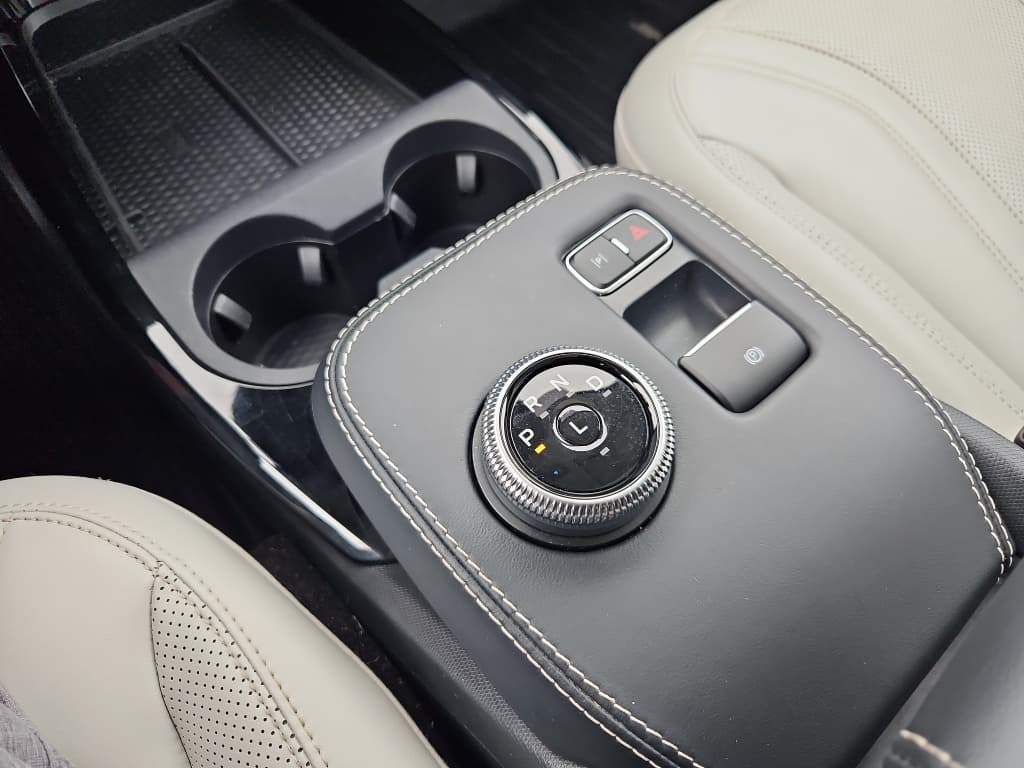 2021 Ford Mustang Mach-E view 16
