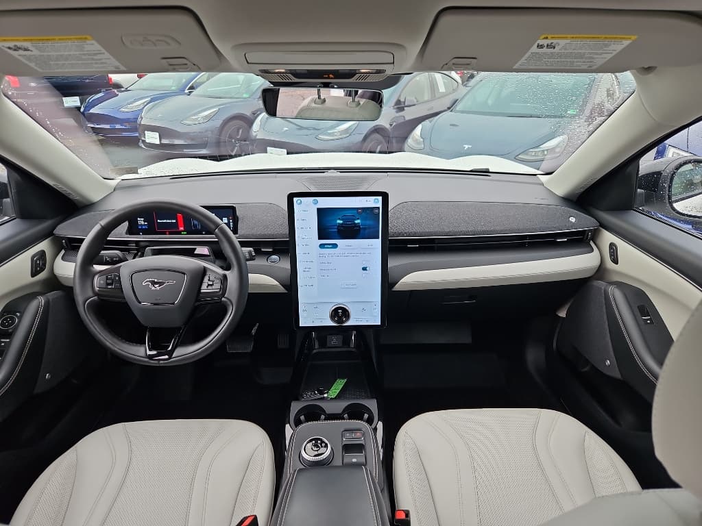 2021 Ford Mustang Mach-E view 14