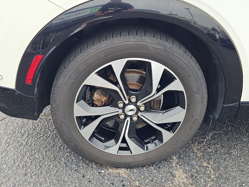2021 Ford Mustang Mach-E view 30