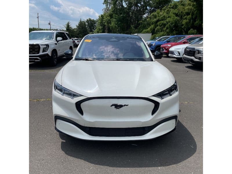 2021 Ford Mustang Mach-E view 8