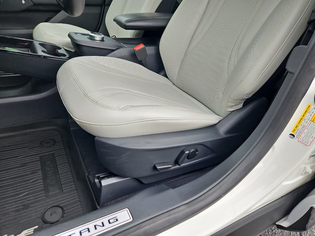2021 Ford Mustang Mach-E view 7
