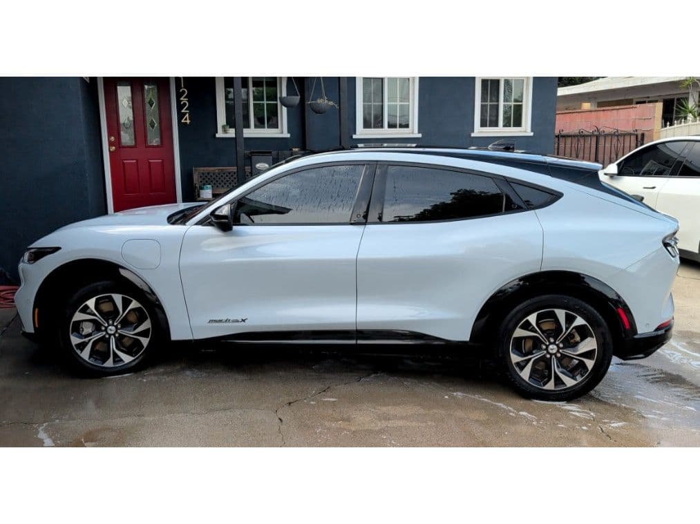 2021 Ford Mustang Mach-E view 2