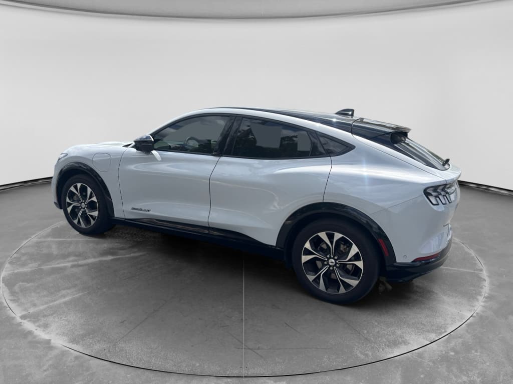 2021 Ford Mustang Mach-E view 2