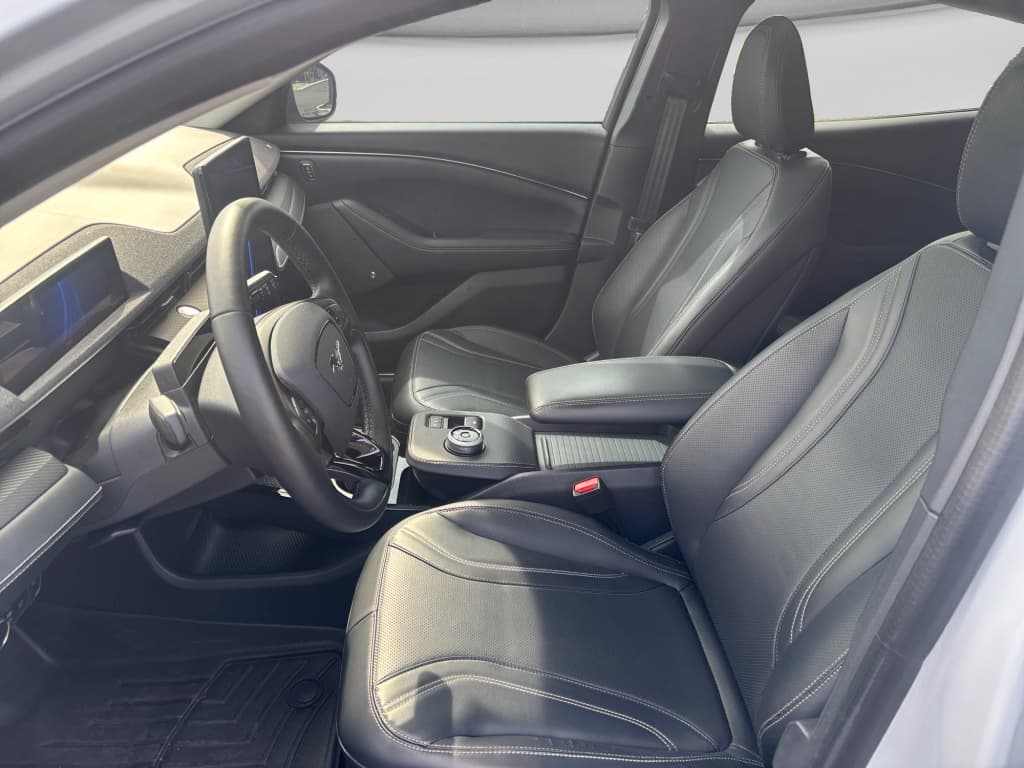 2021 Ford Mustang Mach-E view 9