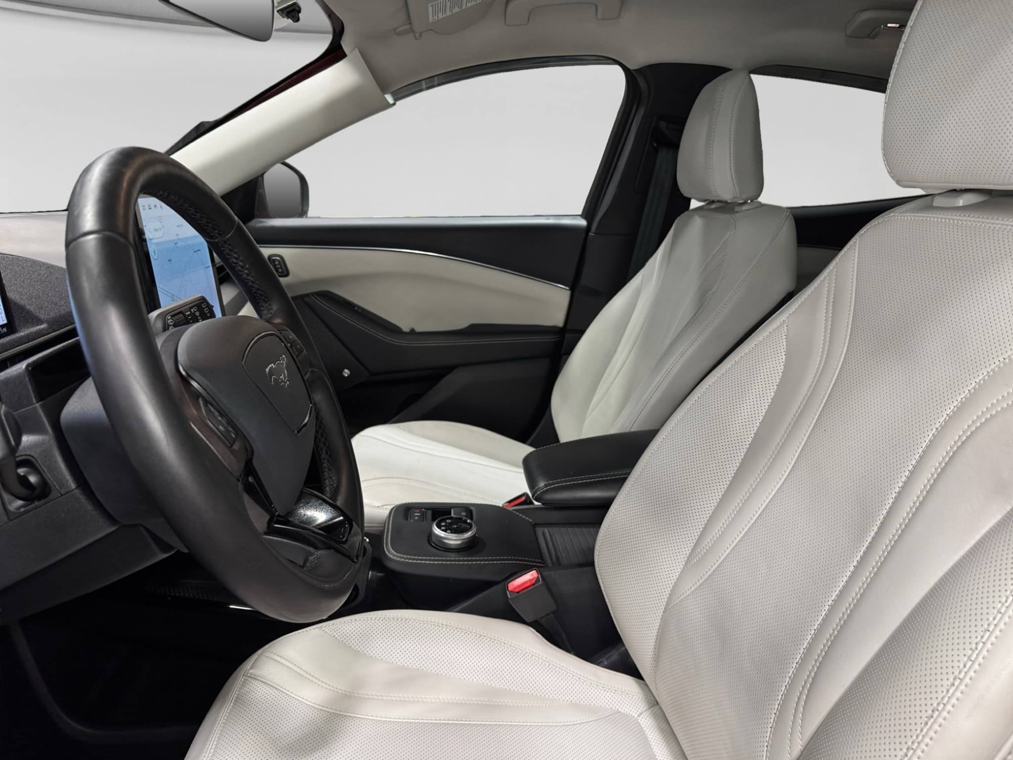 2021 Ford Mustang Mach-E view 17