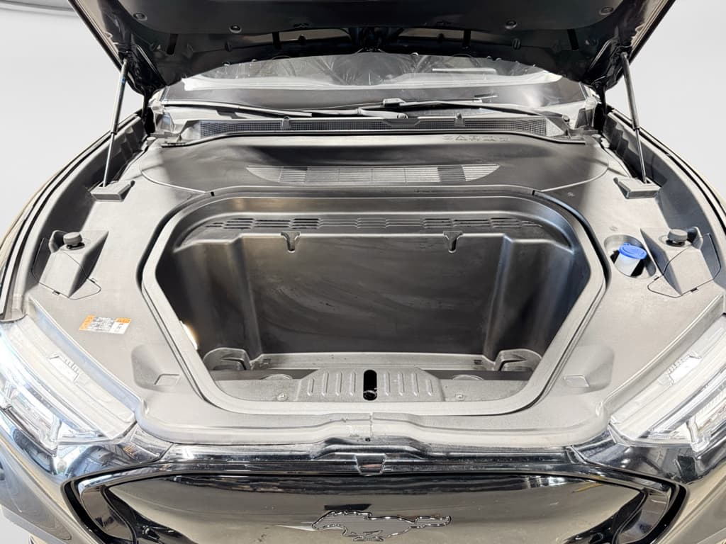 2023 Ford Mustang Mach-E view 26