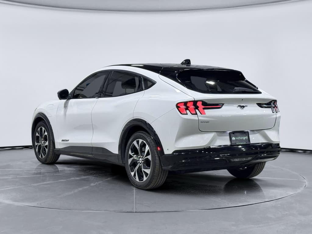 2023 Ford Mustang Mach-E view 2
