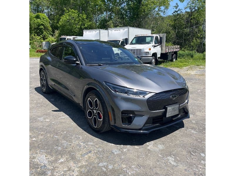 2023 Ford Mustang Mach-E view 2