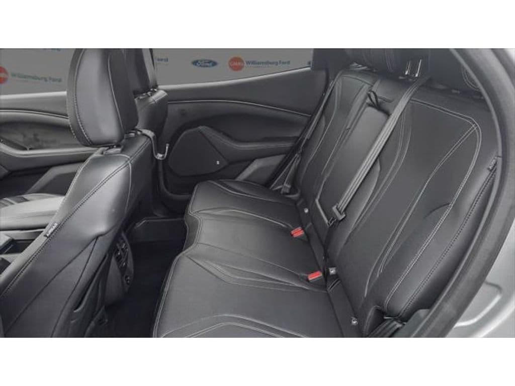 2021 Ford Mustang Mach-E view 6