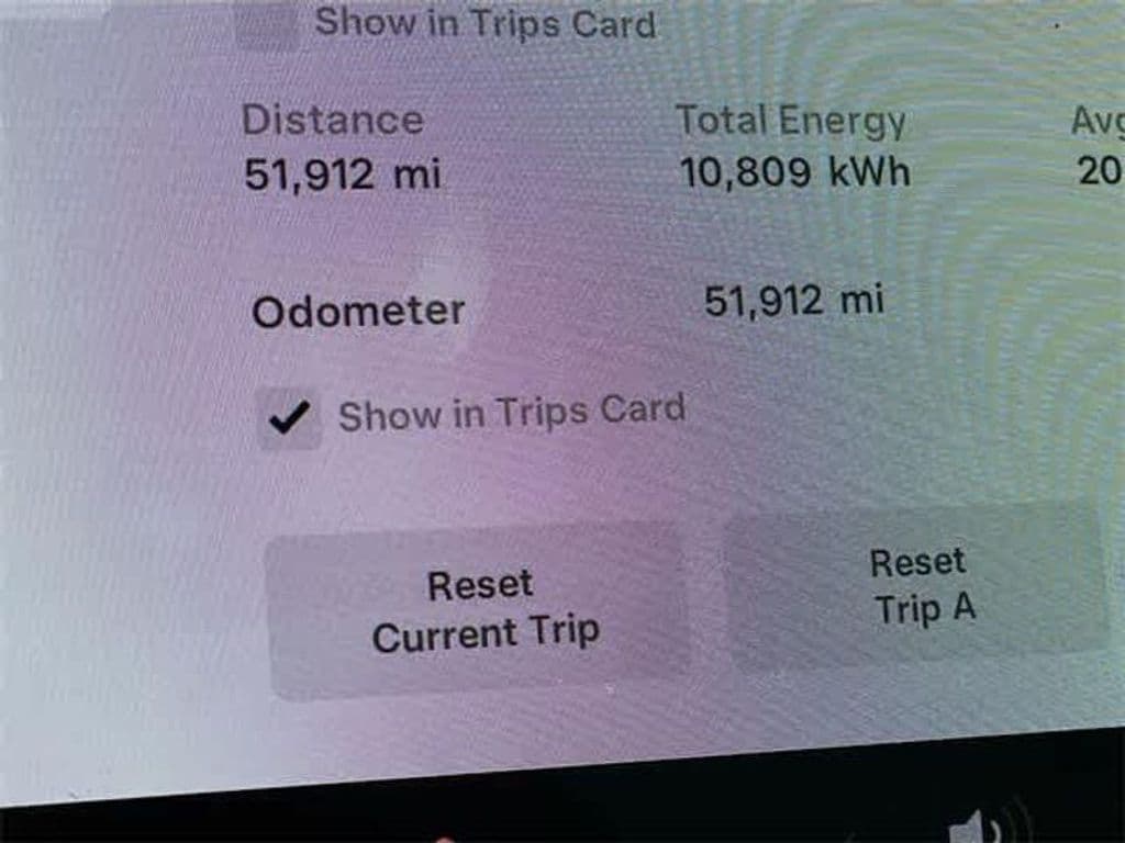2021 Tesla Model 3 view 11