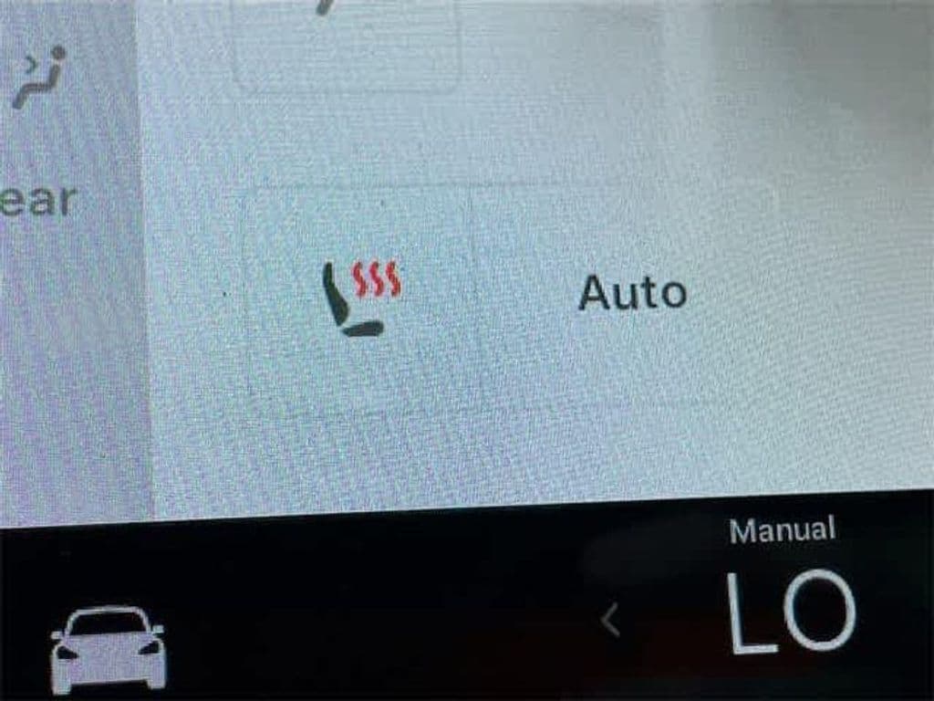 2021 Tesla Model 3 view 19