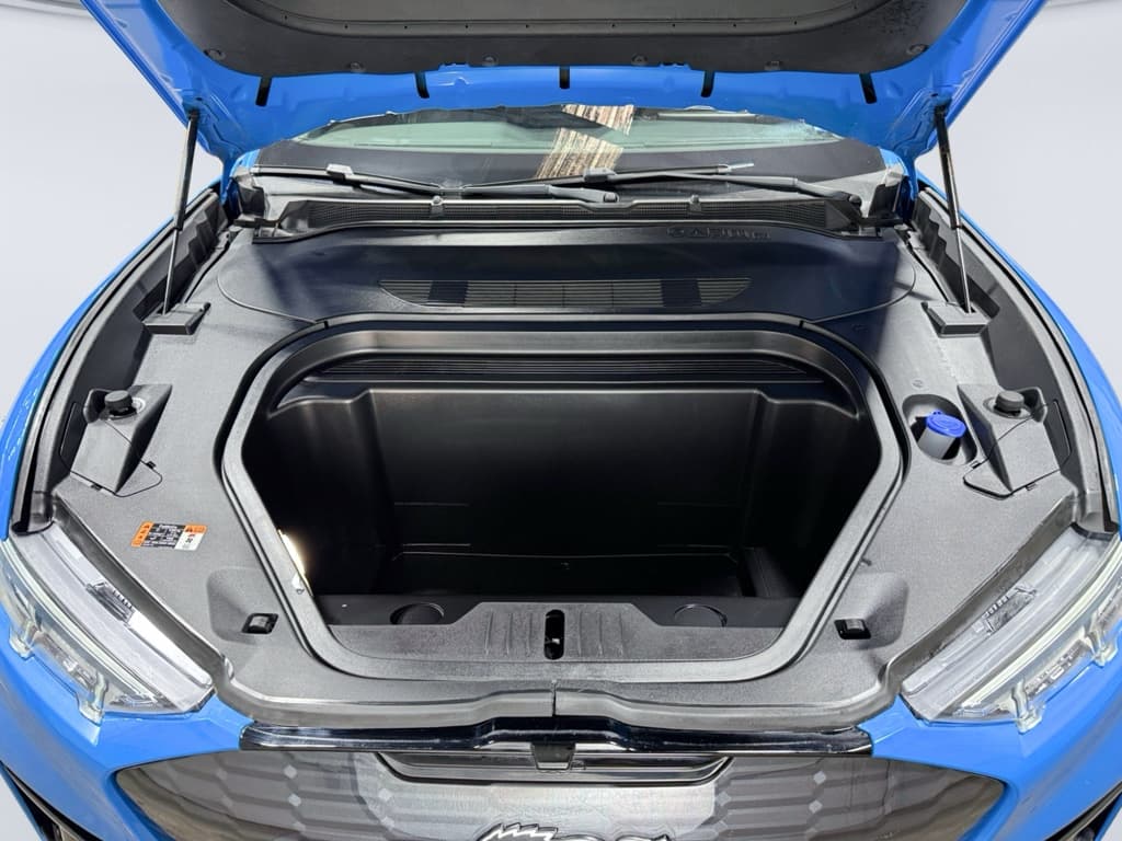 2021 Ford Mustang Mach-E view 24