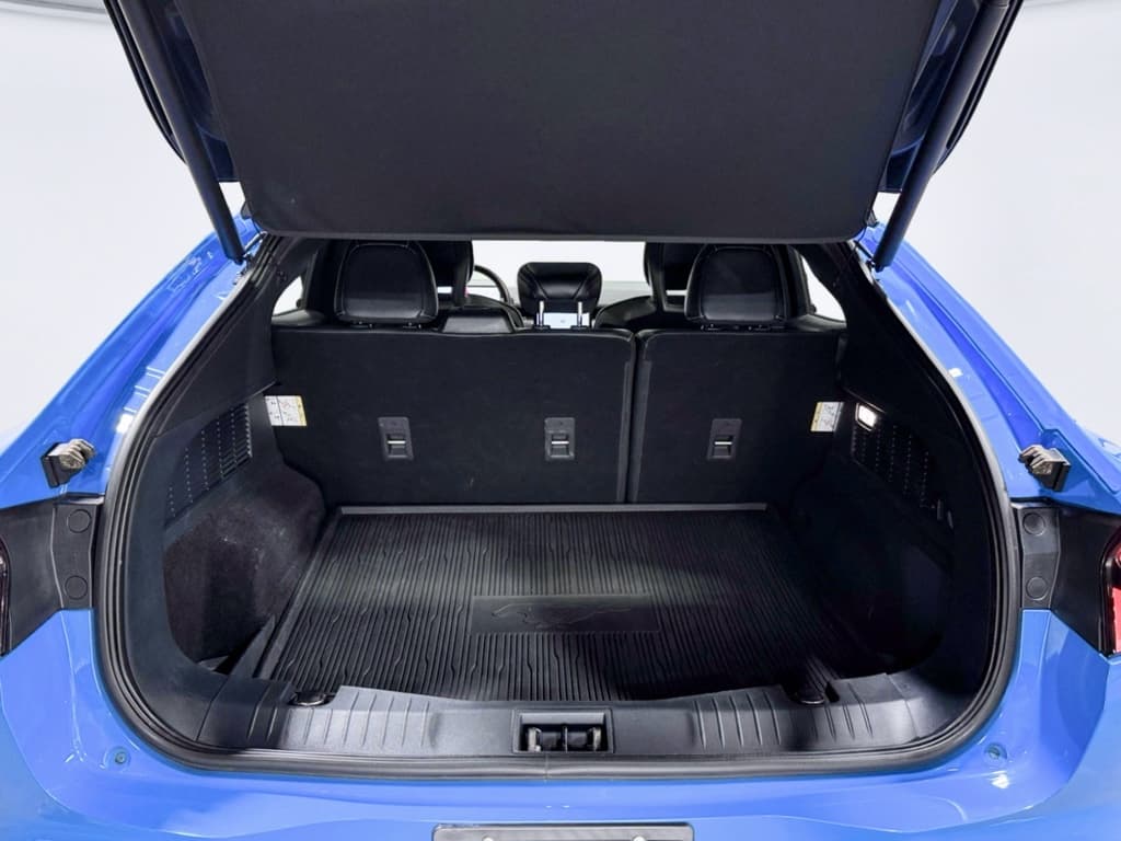 2021 Ford Mustang Mach-E view 26