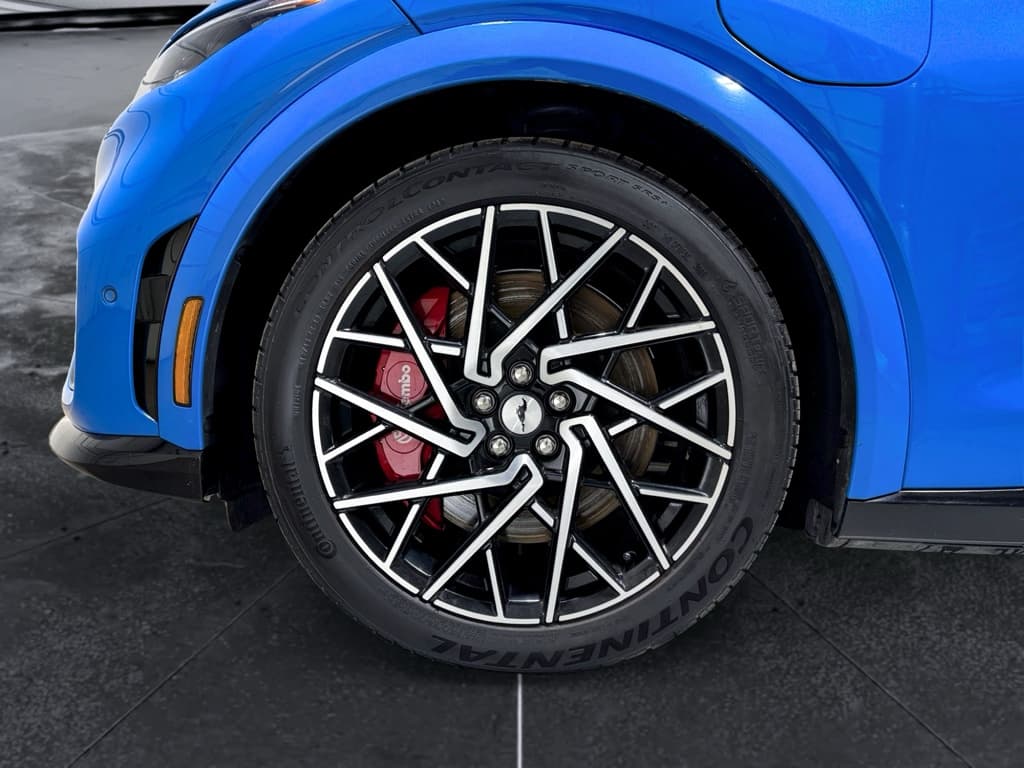 2021 Ford Mustang Mach-E view 30