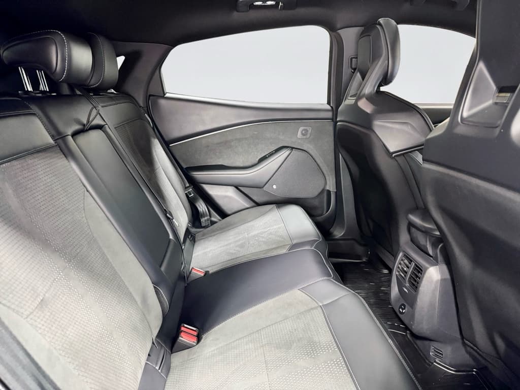 2021 Ford Mustang Mach-E view 21