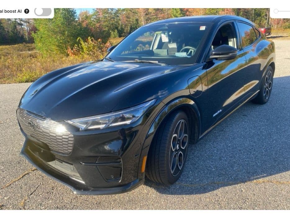 2021 Ford Mustang Mach-E view 1
