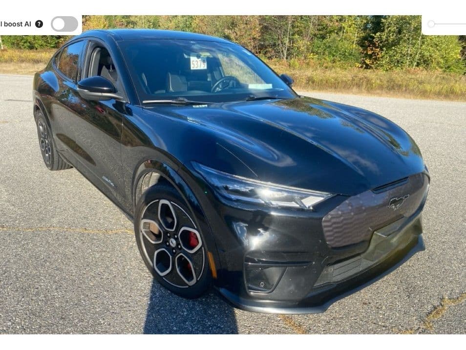 2021 Ford Mustang Mach-E view 2