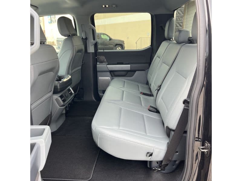 2025 Ford F-150 Lightning view 6