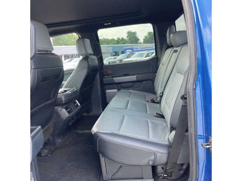2022 Ford F-150 Lightning view 10