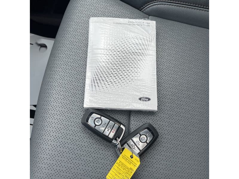 2024 Ford F-150 Lightning view 8