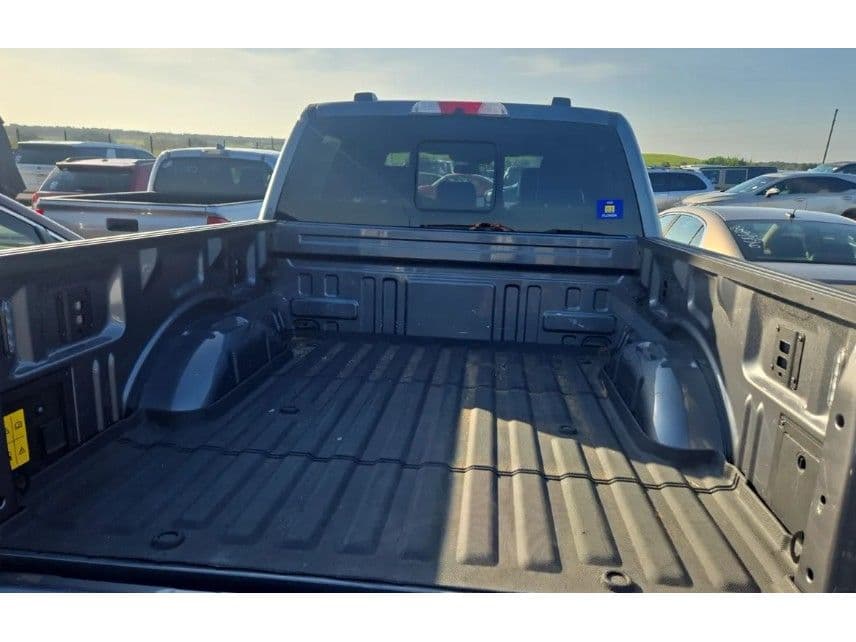 2024 Ford F-150 Lightning view 5