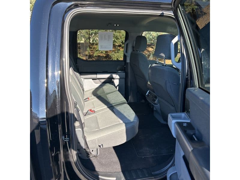 2023 Ford F-150 Lightning view 6