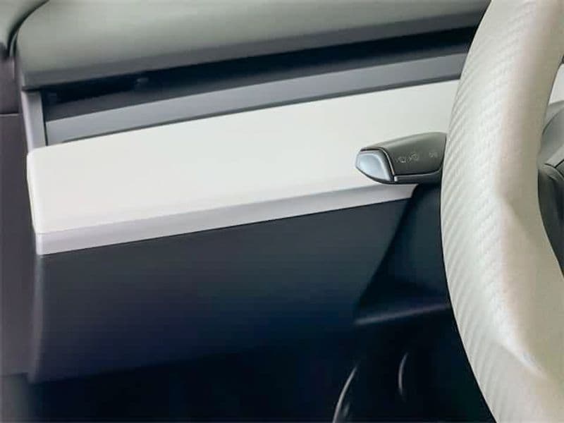 2021 Tesla Model Y view 13
