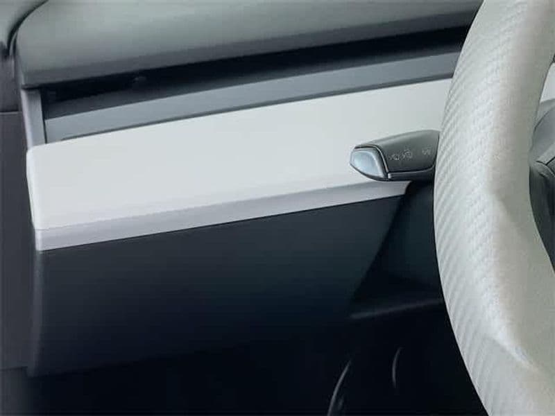 2021 Tesla Model Y view 13