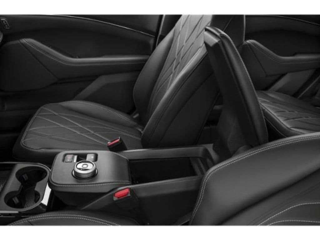 2022 Ford Mustang Mach-E view 14