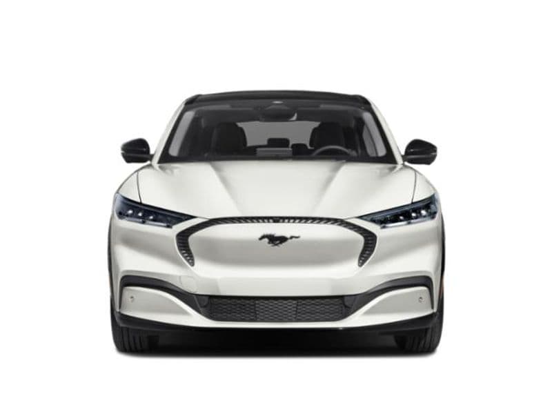 2022 Ford Mustang Mach-E view 4
