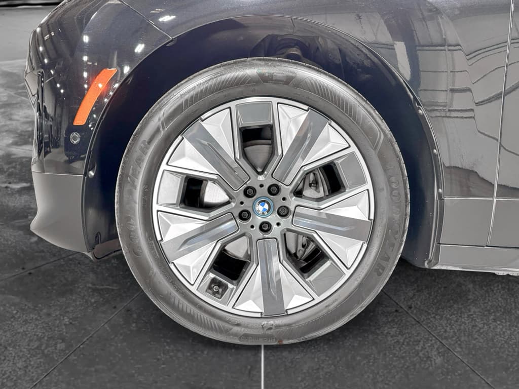 2023 BMW iX view 29