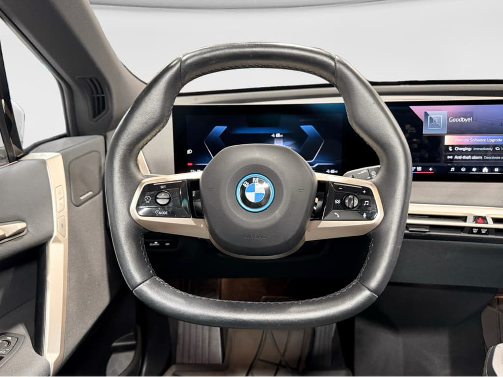 2025 BMW iX view 8
