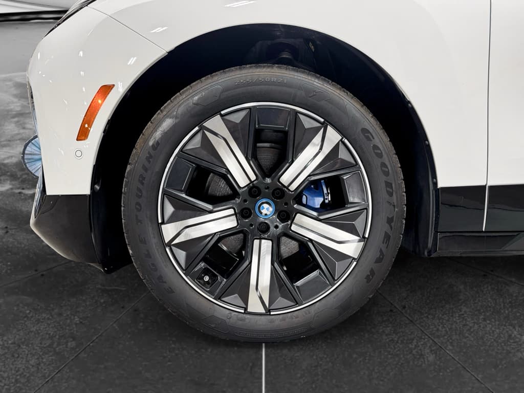 2025 BMW iX view 27