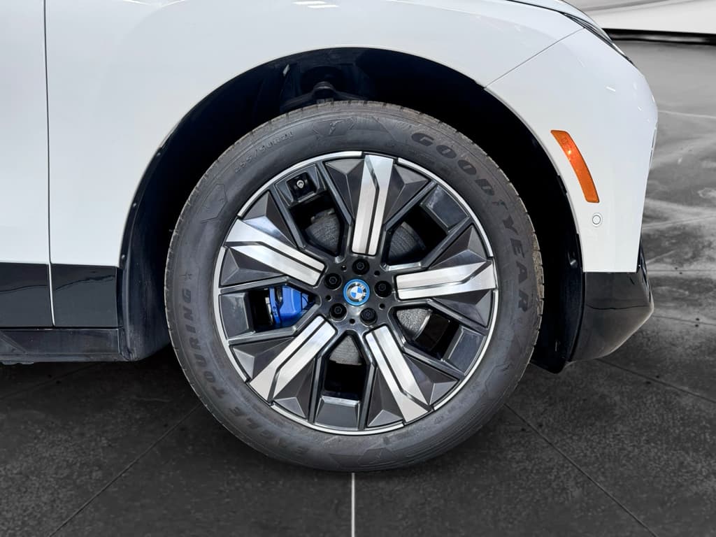 2025 BMW iX view 31