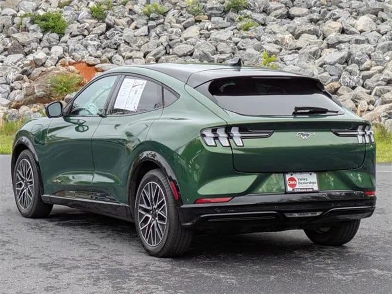2024 Ford Mustang Mach-E view 7