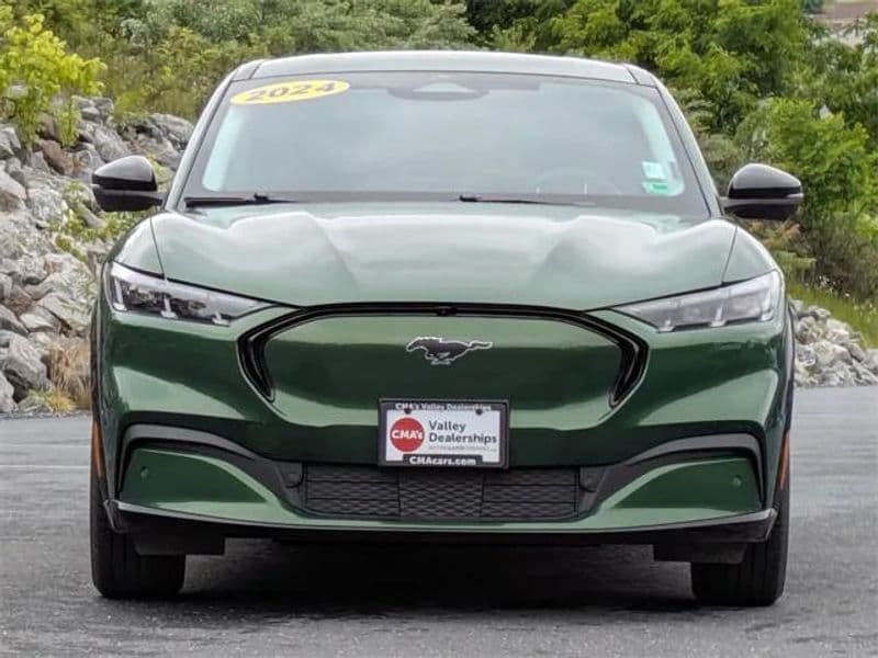 2024 Ford Mustang Mach-E view 2