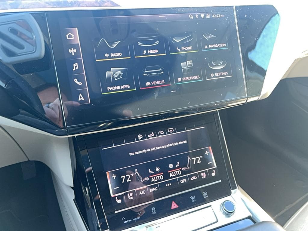 2019 Audi e-tron view 10