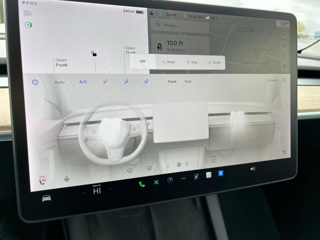 2021 Tesla Model Y view 12