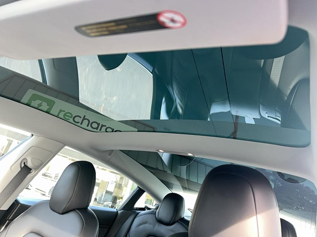 2020 Tesla Model 3 view 15